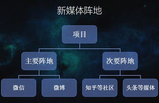 新标题: 推广神器！教你如何让平台爆红的三大步骤,新标题: 推广神器！教你如何让平台爆红的三大步骤,第2张