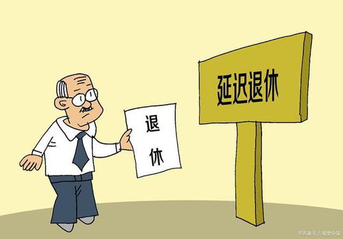 岗位调整下的提前退休：我的选择与思考,岗位调整下的提前退休：我的选择与思考,第1张