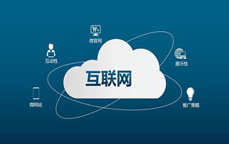 新乡网络公司：成长路上的探索与进展,新乡网络公司：成长路上的探索与进展,第2张