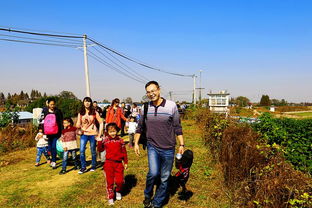 岳阳乡村旅游大热，景区价格降温酒店价格不涨？,岳阳乡村旅游大热，景区价格降温酒店价格不涨？,第2张
