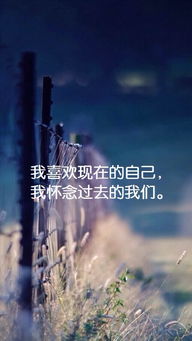 当思念背负成了重重的离人愁,当思念背负成了重重的离人愁,第1张