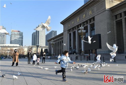 深入了解石家庄的电商文化-淘宝上的宝藏,深入了解石家庄的电商文化-淘宝上的宝藏,第2张