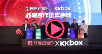 西田琴音：携手网络巨头，创造音乐行业的新机遇,西田琴音：携手网络巨头，创造音乐行业的新机遇,第3张