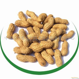 [新标题] 区块链新手必知，花生米信息网为何备受赞誉？,[新标题] 区块链新手必知，花生米信息网为何备受赞誉？,第2张