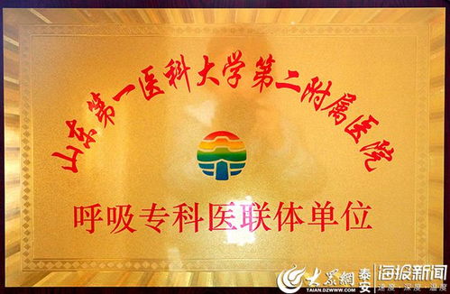 泰安市重拳治污，大气防治初见成效,泰安市重拳治污，大气防治初见成效,第3张