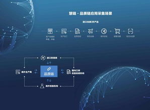 探秘紫金网络2020年上半年财报，超过一倍的净利盈利让人惊叹,探秘紫金网络2020年上半年财报，超过一倍的净利盈利让人惊叹,第2张