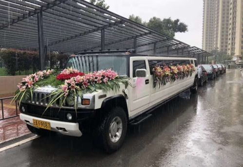 探索“香港包车”：如何选择车队和避免陷阱？,探索“香港包车”：如何选择车队和避免陷阱？,第3张