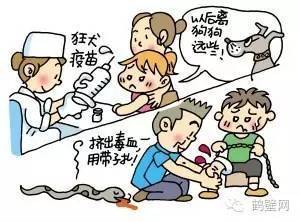 如何提高孩子的安全意识，预防校园安全事故？,如何提高孩子的安全意识，预防校园安全事故？,第2张