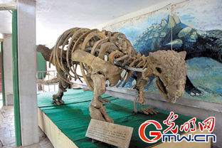「科普」走进恐龙的世界-重构古生物时代的奇妙之旅,「科普」走进恐龙的世界-重构古生物时代的奇妙之旅,第2张