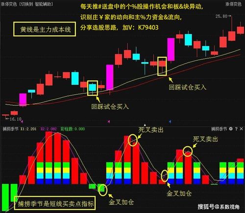 如何利用配资114进行低风险股票投资,如何利用配资114进行低风险股票投资,第3张