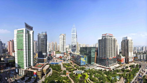 : 畅谈重庆：来自出生地的心声,: 畅谈重庆：来自出生地的心声,第1张