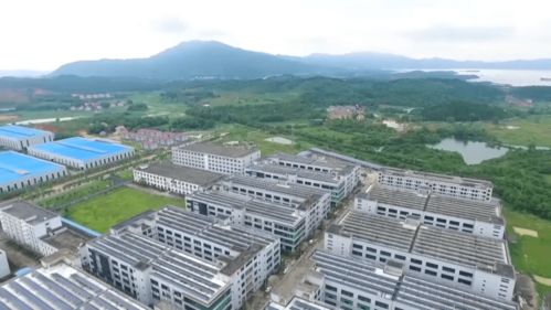 标题: 新余市民科技教育日活动暨全国“科技活动周”在新余举行,标题: 新余市民科技教育日活动暨全国“科技活动周”在新余举行,第2张