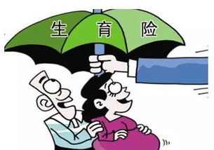 各地积极行动，居民医保是否纳入基本医保还需探索,各地积极行动，居民医保是否纳入基本医保还需探索,第3张