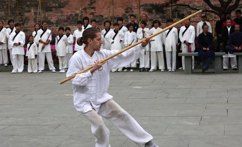 龙影鞭纹：华夏武术精华的绝妙融合,龙影鞭纹：华夏武术精华的绝妙融合,第1张