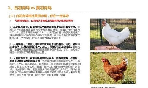 探寻中国家禽养殖行业的现状和趋势,探寻中国家禽养殖行业的现状和趋势,第1张