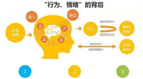 如何优化你的个人品牌建设,如何优化你的个人品牌建设,第1张