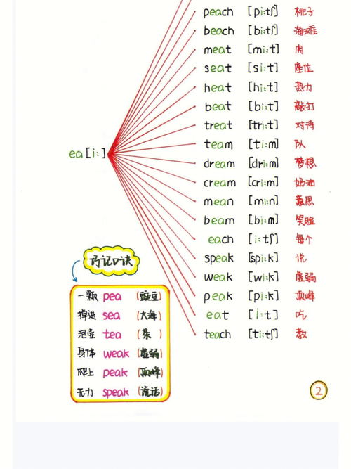 探究英语发音：一篇详细解读国际音标的指南,探究英语发音：一篇详细解读国际音标的指南,第3张