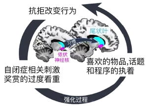大脑中的奖赏机制：为何沉迷成瘾？,大脑中的奖赏机制：为何沉迷成瘾？,第3张