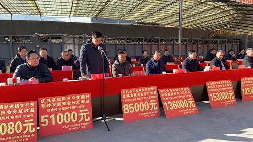 社旗县：集体经济致富新路径,社旗县：集体经济致富新路径,第1张