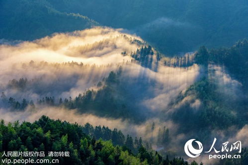 《破解交大晨光bt，从此无后顾之忧》,《破解交大晨光bt，从此无后顾之忧》,第1张