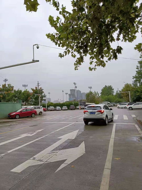 南川交警发布路口限行新规，禁止左转和掉头,南川交警发布路口限行新规，禁止左转和掉头,第2张