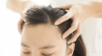 引领洗头新时代，头皮按摩器成为洗头妹们必备神器,引领洗头新时代，头皮按摩器成为洗头妹们必备神器,第1张