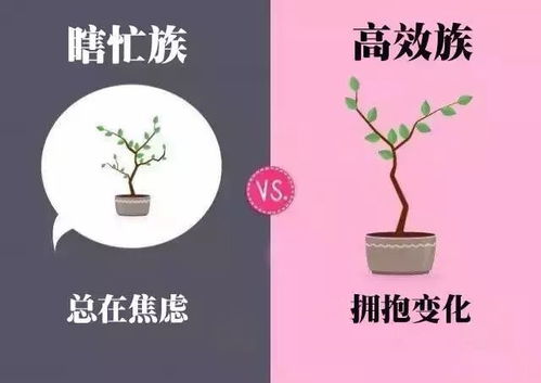 《菜鸟成长记：回望2019年的自我总结》,《菜鸟成长记：回望2019年的自我总结》,第3张