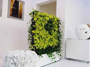「标题」室内绿化，让您的家更具生命力,「标题」室内绿化，让您的家更具生命力,第3张