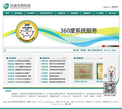 网站建设的步骤与注意事项,网站建设的步骤与注意事项,第2张