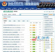 如何提高网站维护效率？,如何提高网站维护效率？,第1张