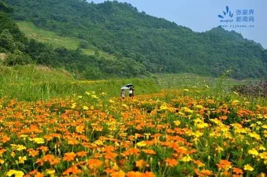 旅游胜地与生活文化传承--探寻山乡野情,旅游胜地与生活文化传承--探寻山乡野情,第3张