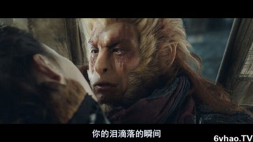 免费的高清电影下载网站推荐,免费的高清电影下载网站推荐,第1张