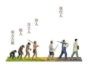 从繁荣到危机：探究人类文明演化的三个关键阶段,从繁荣到危机：探究人类文明演化的三个关键阶段,第3张