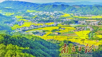 遂川乡村发展：挖掘文化特色，构建美丽乡村,遂川乡村发展：挖掘文化特色，构建美丽乡村,第3张