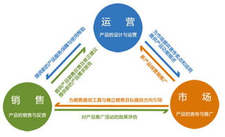 淘宝运营入门指南：从零开始学习淘宝运营技能,淘宝运营入门指南：从零开始学习淘宝运营技能,第3张