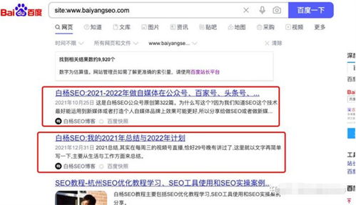 工具大全：告别手工收录，快速让网站被搜索引擎收录,工具大全：告别手工收录，快速让网站被搜索引擎收录,第3张