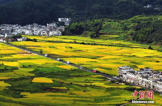 江西人的生活圈：从大城市到小乡村,江西人的生活圈：从大城市到小乡村,第1张