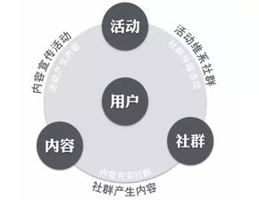 西安网站建设：如何打造一个高效的网络平台,西安网站建设：如何打造一个高效的网络平台,第2张