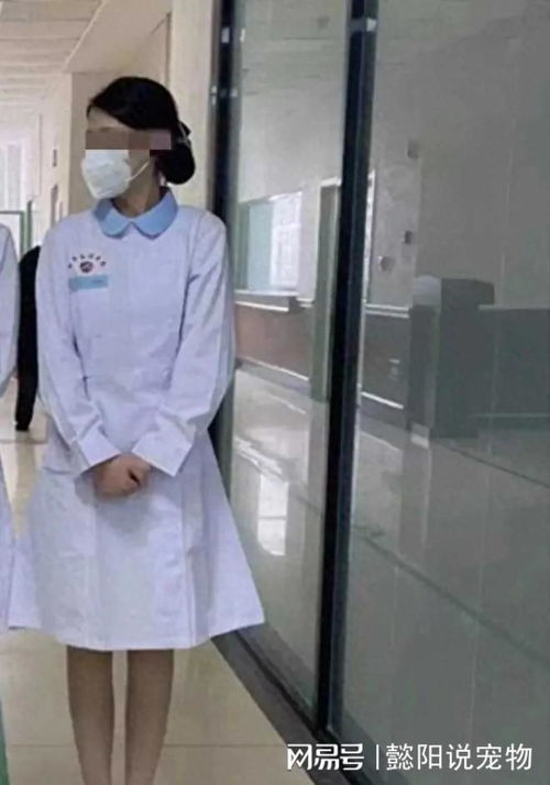 浅谈职业道德与性感身材-护士的职业形象,浅谈职业道德与性感身材-护士的职业形象,第3张