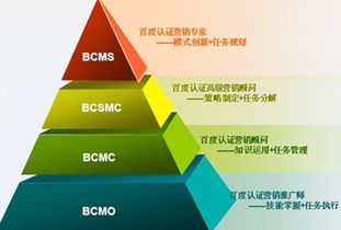 探究河北网络推广的变革与提升,探究河北网络推广的变革与提升,第2张