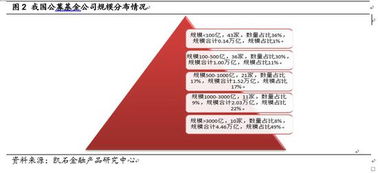 揭秘基金投资策略：南方、国泰、易方达三大基金公司是如何选择股票的？,揭秘基金投资策略：南方、国泰、易方达三大基金公司是如何选择股票的？,第2张