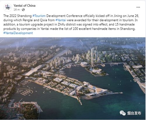 探寻烟台网盟的发展历程与未来发展方向,探寻烟台网盟的发展历程与未来发展方向,第3张