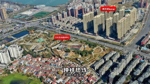 《发现中国石狮的美丽之旅》,《发现中国石狮的美丽之旅》,第1张