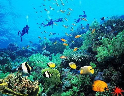 题目重写：感性体验洁喜诺，如何让你拥有更健康的生活品质？,题目重写：感性体验洁喜诺，如何让你拥有更健康的生活品质？,第3张