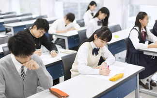 尚德教育的开创：学习路上的机遇与资本之指引,尚德教育的开创：学习路上的机遇与资本之指引,第3张
