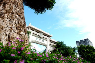 从“文化硬核”思考-清远网如何成为社区意识高度共识的典范,从“文化硬核”思考-清远网如何成为社区意识高度共识的典范,第1张