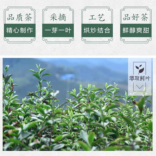 从传统茶叶文化走进茶网，探寻茶叶的新时代,从传统茶叶文化走进茶网，探寻茶叶的新时代,第2张