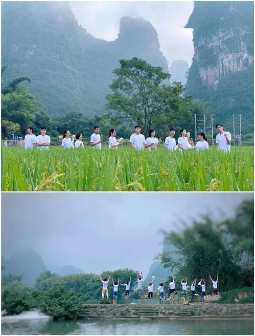 狼与雨,狼与雨,第3张