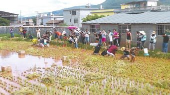 岳阳乡村旅游大热，景区价格降温酒店价格不涨？,岳阳乡村旅游大热，景区价格降温酒店价格不涨？,第1张