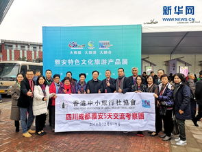 深入剖析香港赛马协会及其对香港经济的影响,深入剖析香港赛马协会及其对香港经济的影响,第2张